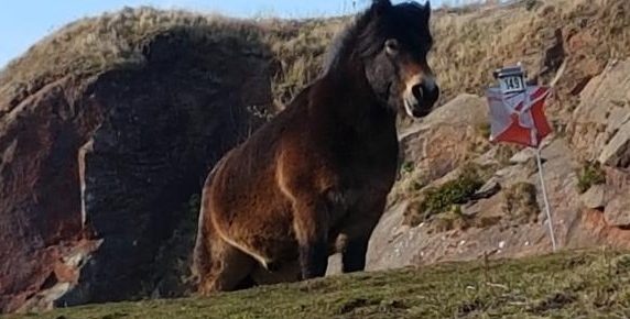 North Berwick Law Saturday 24th February 2018 North Berwick Law Saturday 24th February 2018