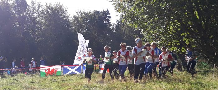 VHI Relays at Binning Wood 21/09/2019 VHI Relays at Binning Wood 21/09/2019