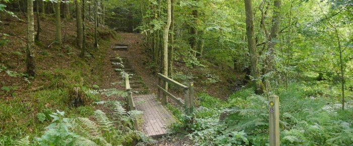 SoSOL: Duns Wood Sunday 24 November 2019 SoSOL: Duns Wood Sunday 24 November 2019
