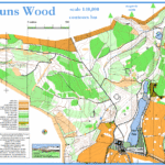 Duns Wood