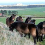 North Berwick Law 25 September 2021 North Berwick Law 25 September 2021