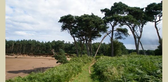 John Muir County Park, Dunbar  Saturday 25th February 2023