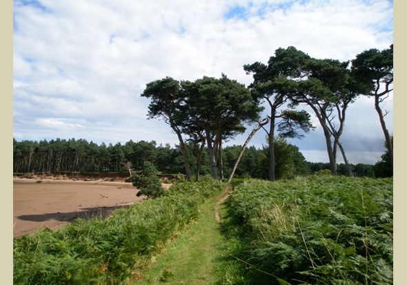 John Muir Country Park