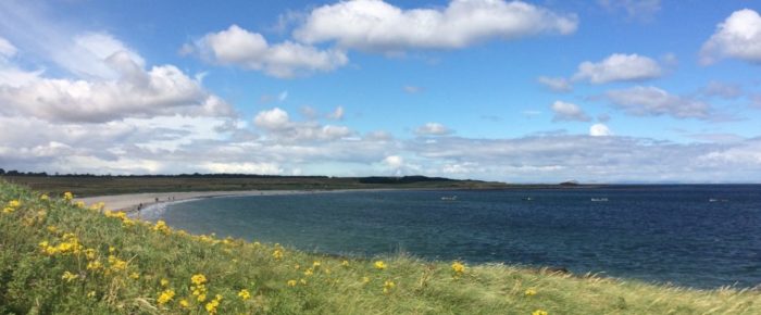 Barns Ness near Dunbar  Saturday 24th June