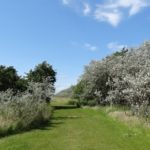 Festive Frolic: Levenhall Links Monday 28 December 2020 Festive Frolic: Levenhall Links Monday 28 December 2020
