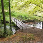 Vogrie Country Park Saturday 25 November 2023 Vogrie Country Park Saturday 25 November 2023