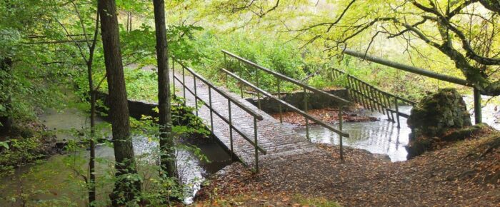 East of Scotland Championships  Vogrie Country Park  Saturday 11 December 2021