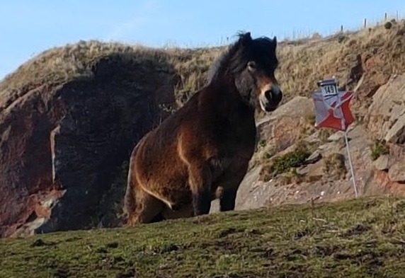 North Berwick Law  Saturday 24th February 2018