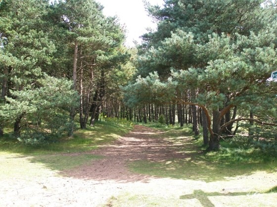 John Muir Country Park, Dunbar  Saturday 26 June 2021