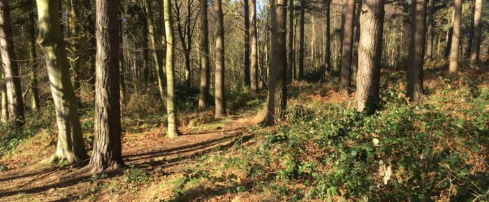 Two East Lothian Orienteering Events in April… Two East Lothian Orienteering Events in April…
