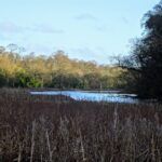 Balgone Estate  Saturday 30 May 2026