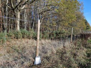 Field fence