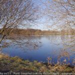 Festive Frolic: Levenhall Links  Sunday 28 December 2025